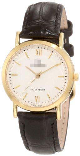Swiss Watch Battery R301J900Y