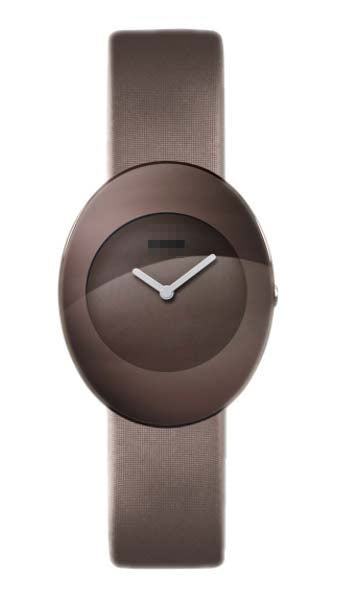 Swiss Watch Battery R53739336
