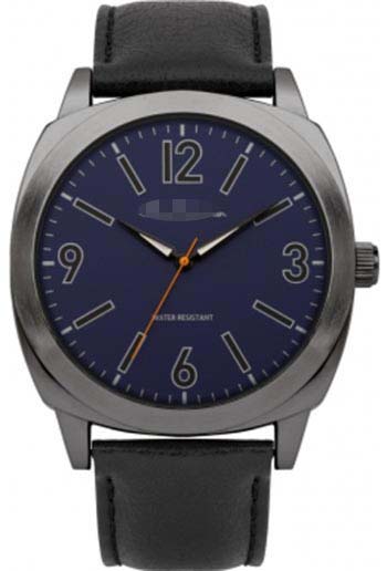 Swiss Watch Battery R866