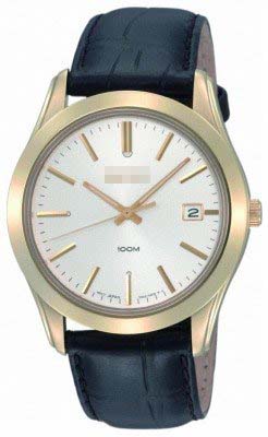 Swiss Watch Battery SGEE48P1
