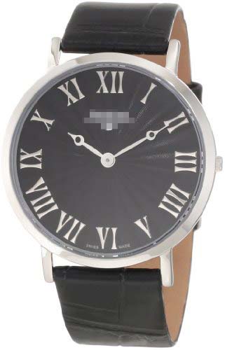 Swiss Watch Battery SK21202G