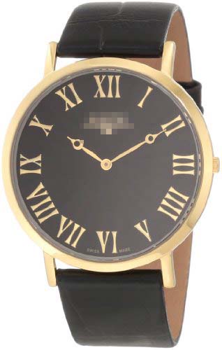 Swiss Watch Battery SK21204G