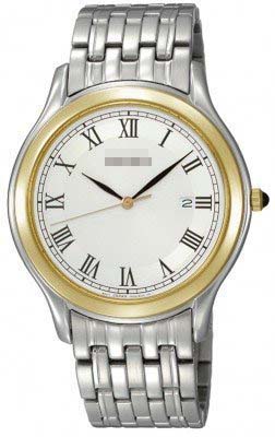 Swiss Watch Battery SKK706P1