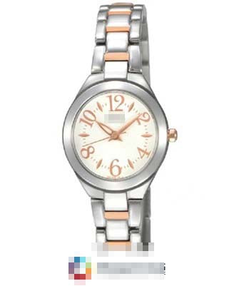 Swiss Watch Battery SXGN85P1