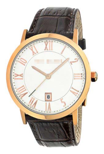 Swiss Watch Battery TE1041