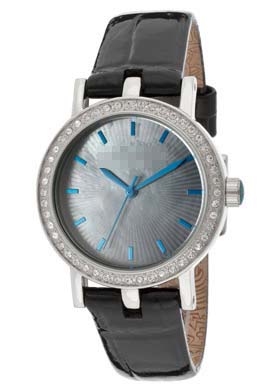 Swiss Watch Battery TE2013