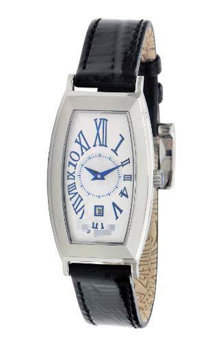 Swiss Watch Battery TE2022