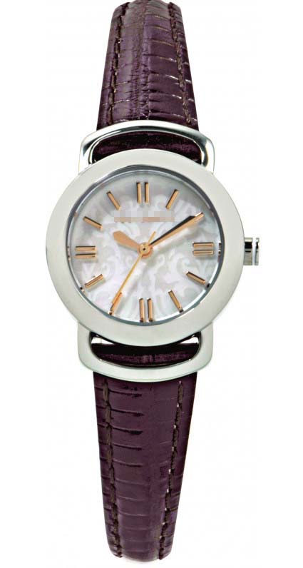 Swiss Watch Battery TE2055