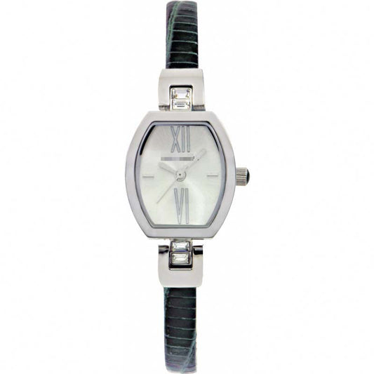 Swiss Watch Battery TE2056