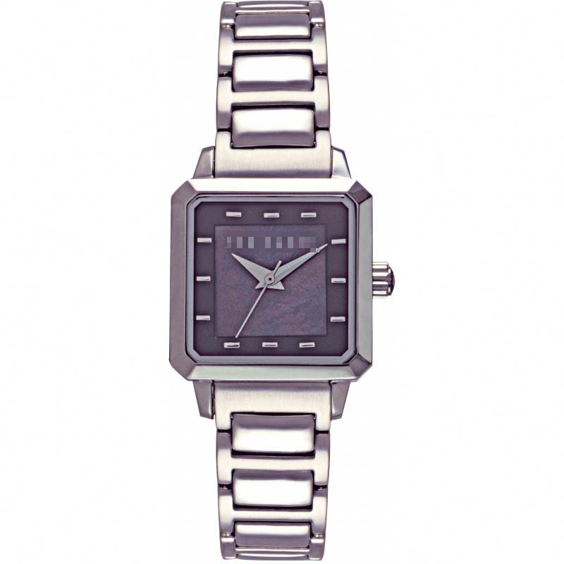 Swiss Watch Battery TE4041