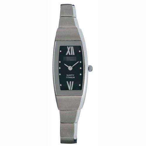 Swiss Watch Battery V81091343320