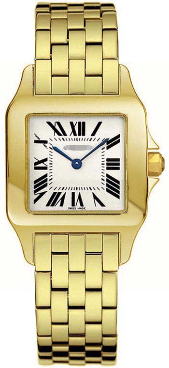 Swiss Watch Battery W25062X9
