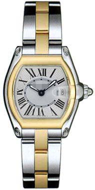 Swiss Watch Battery W62026Y4