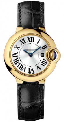 Swiss Watch Battery W6900156