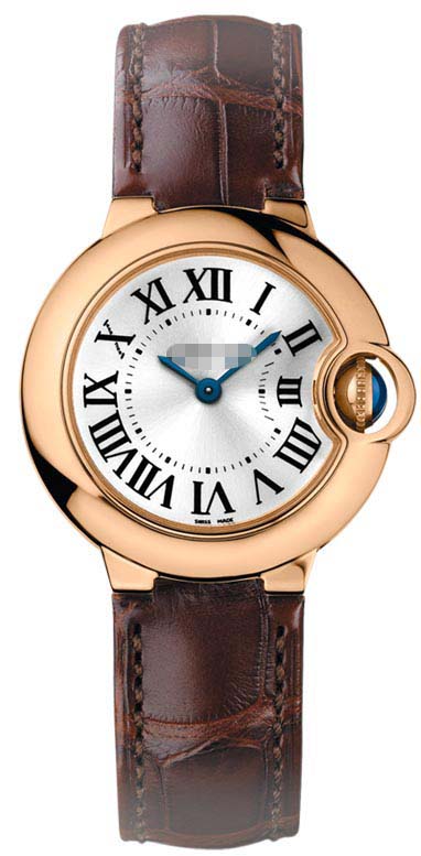 Swiss Watch Battery W6900256