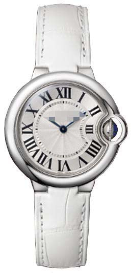 Swiss Watch Battery W6920086