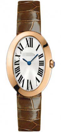 Swiss Watch Battery W8000007