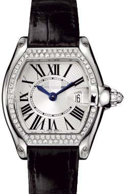 Swiss Watch Battery WE500260