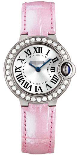 Swiss Watch Battery WE900351
