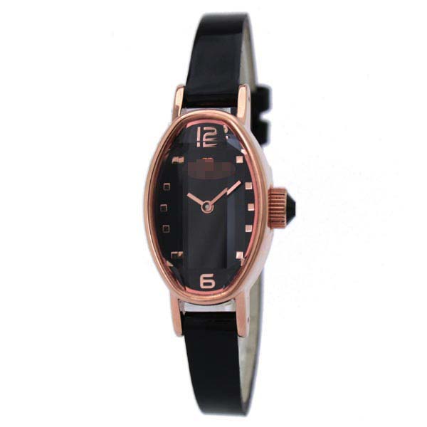 Swiss Watch Battery WF9R009SPK-BK