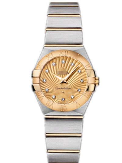 Custom Stainless Steel Watch Belt 123.20.24.60.58.001