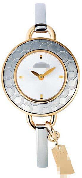 Customize Stainless Steel Watch Bands 14501242