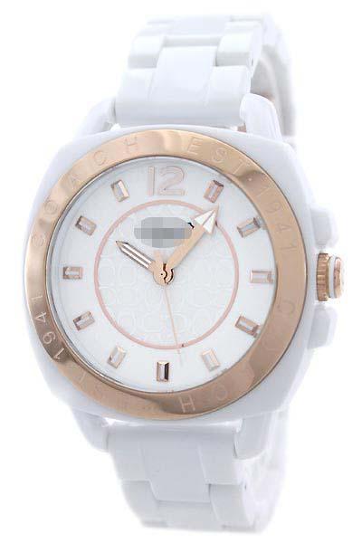 Customization Stainless Steel Watch Wristband 14501392