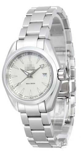 Custom Silver Watch Dial 231.10.30.60.02.001