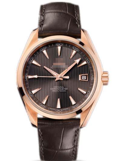 Custom Grey Watch Dial 231.53.42.21.06.001