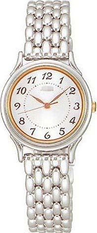 Wholesale Stainless Steel Watch Bands AADK107