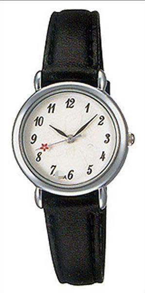 Custom Stainless Steel Watch Bands APAW023