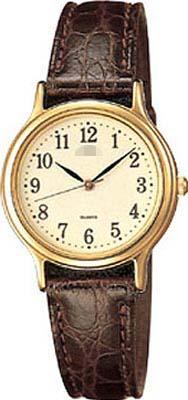 Customised Leather Watch Bands AQDS024