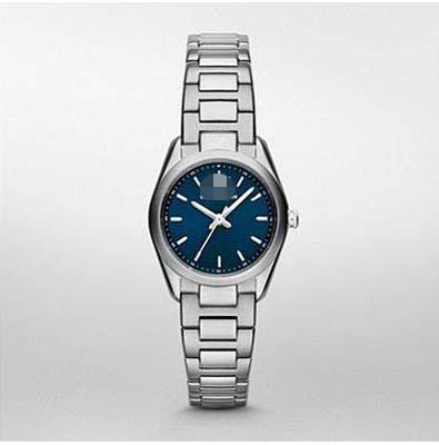 Customization Stainless Steel Watch Bracelets AR6029