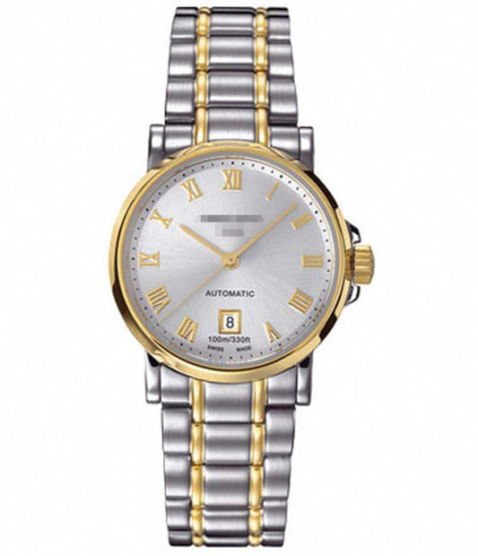 Customize Stainless Steel Watch Belt C017.207.22.033.00