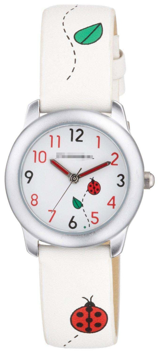 Customization Nylon Watch Bands CK102-09