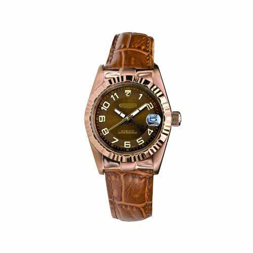 Wholesale Leather Watch Bands CN207116BRBR
