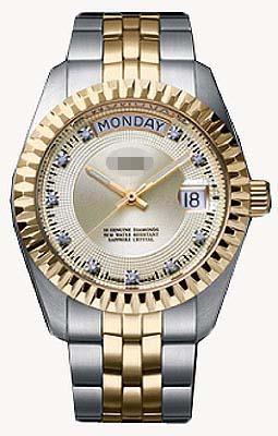 Customization Stainless Steel Watch Bands D103TCM