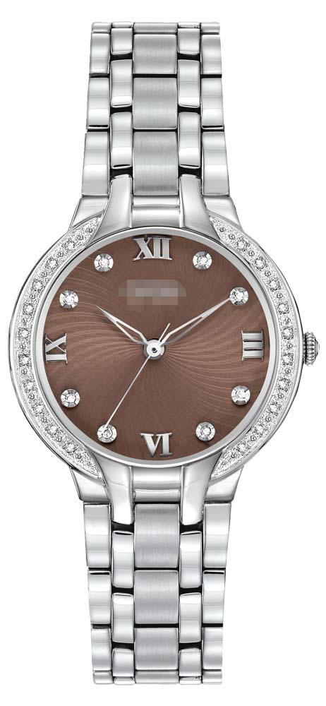 Custom Stainless Steel Watch Bracelets EM0120-58X