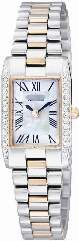 Wholesale Stainless Steel Watch Bands EW9816-51D