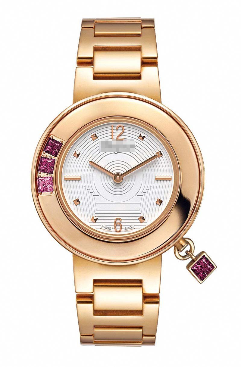 Custom Stainless Steel Watch Belt F64SBQ5201-S080