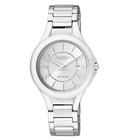 Wholesale Stainless Steel Watch Bands FE1020-53B