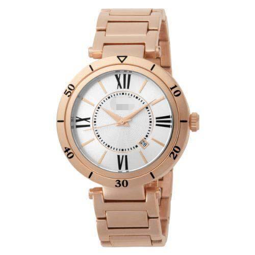 Wholesale Stainless Steel Watch Belt HA1140RG-9