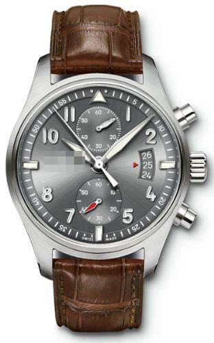 Wholesale Grey Watch Dial IW387802