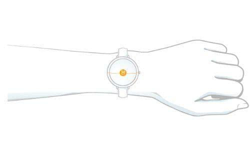 Custom Stainless Steel Watch Bands KC4810