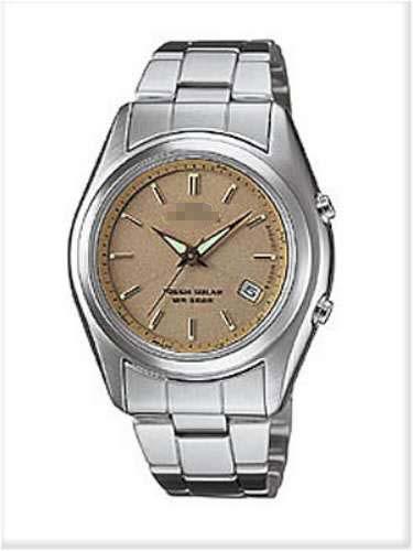 Customize Stainless Steel Watch Bands LWQ-110DJ-9AJF