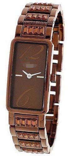 Customize Stainless Steel Watch Bands NY4203