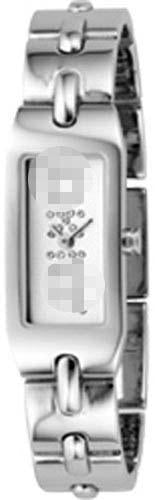 Customised Stainless Steel Watch Bands NY4619