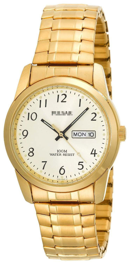 Custom Stainless Steel Watch Bands PJ6016