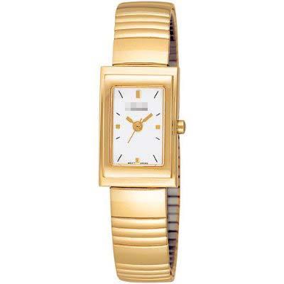 Wholesale Stainless Steel Watch Bands PPH516