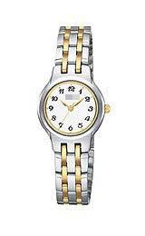 Custom Stainless Steel Watch Bands PTC399